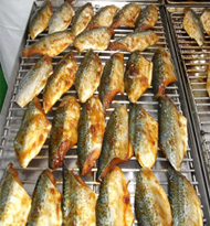 漬込魚を焼網に並べます